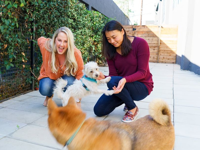Employees play with dogs at SteelHouse