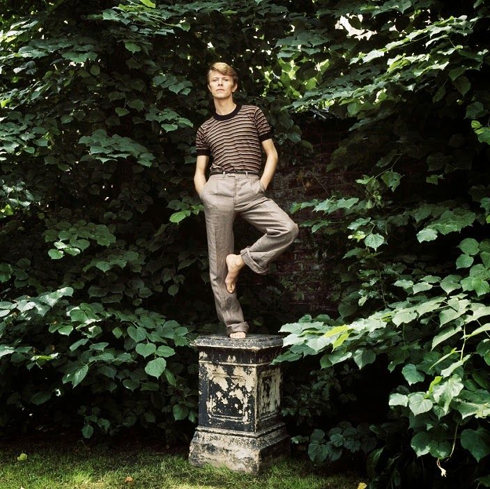 Stunning Image of David Bowie in 1978
