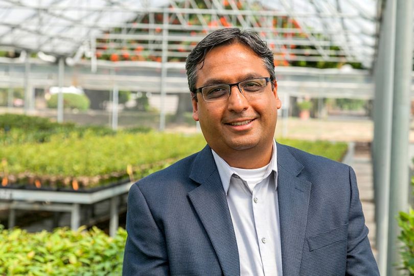 doctor amit dhingra phytelligence founder seattle washington state university