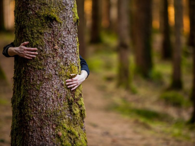 Environmentally-friendly companies