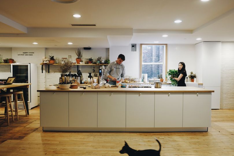 Farmer's Dog kitchen 