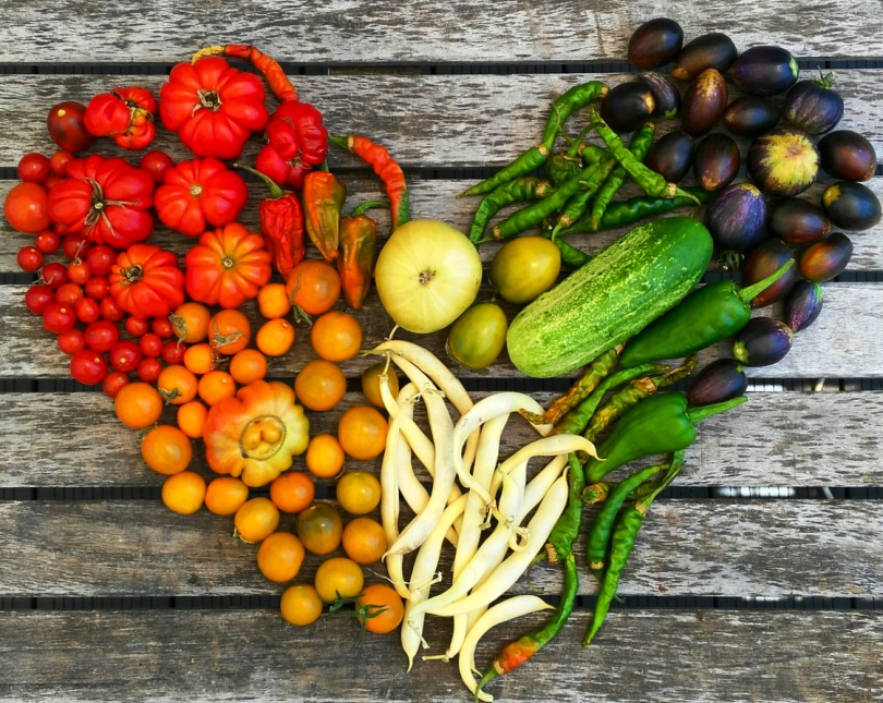 GROW-smart-gardening