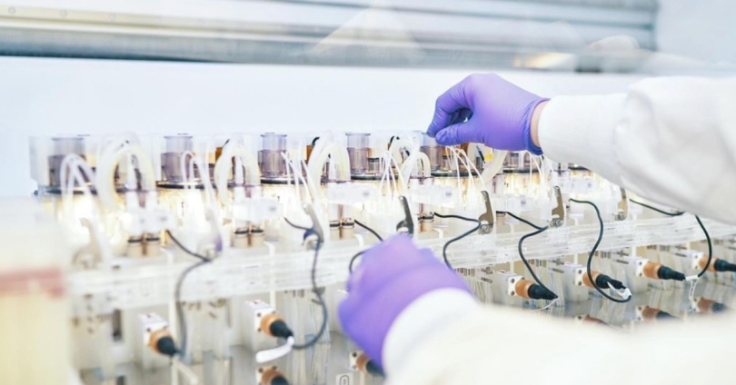 Ginkgo lab tech
