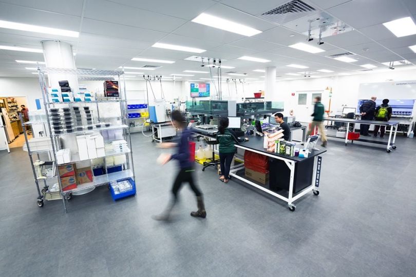 Ginkgo Bioworks