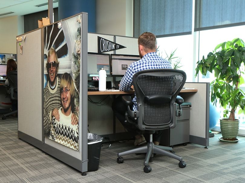 Cubicle Life