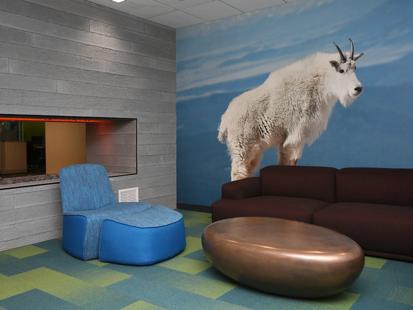 Workiva Sheep wall