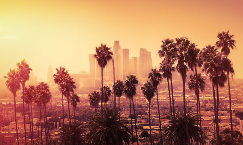 Los Angeles palms with buildings in the distance