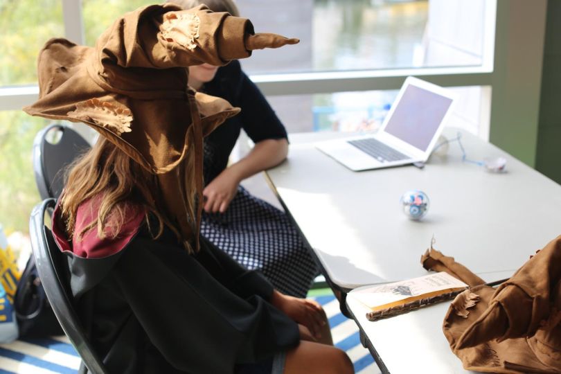 MIT Lab sorting hat simulation
