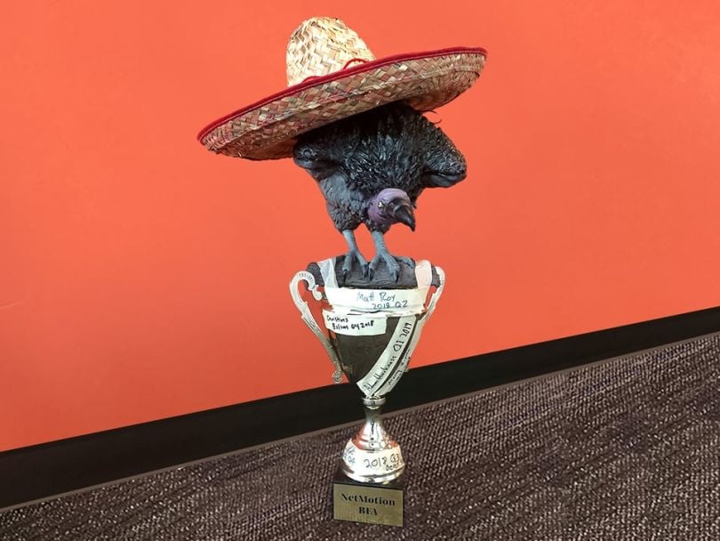 NetMotion Big Friggin Award: Vera the Vulture
