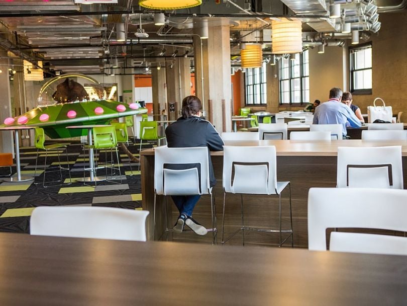 Groupon Office Space Cat