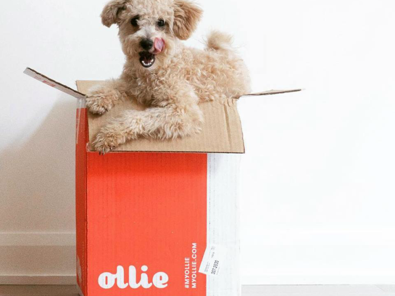 Ollie