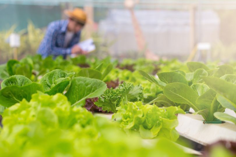 Planetarians Agriculture Silicon Valley