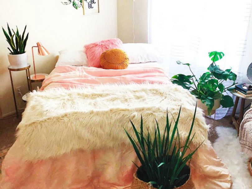 Roomify