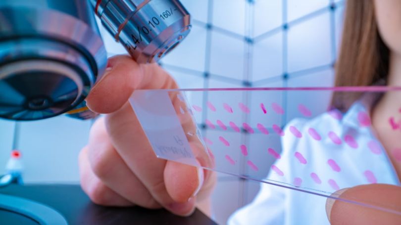 Shattuck Labs Biotech Companies Austin Texas