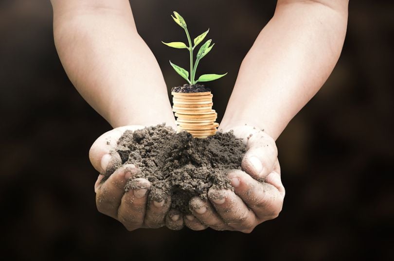 Child holding soil with coins and a sprout growing from it