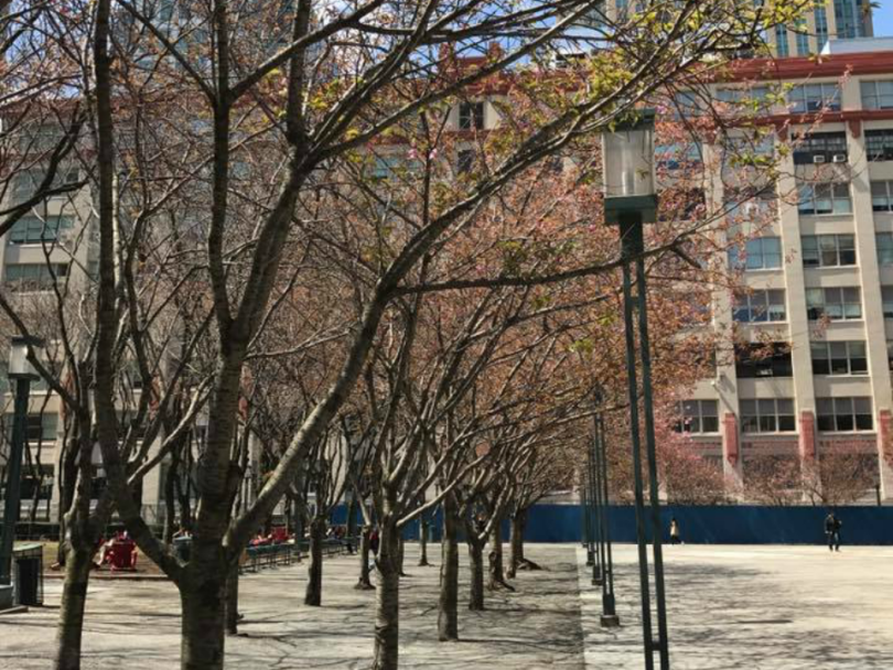 NYU tandon campus