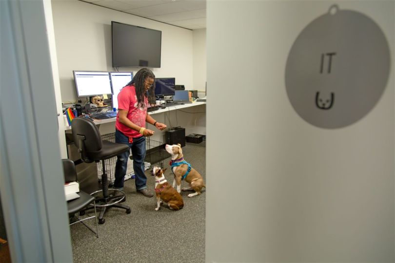 The Trupanion IT team