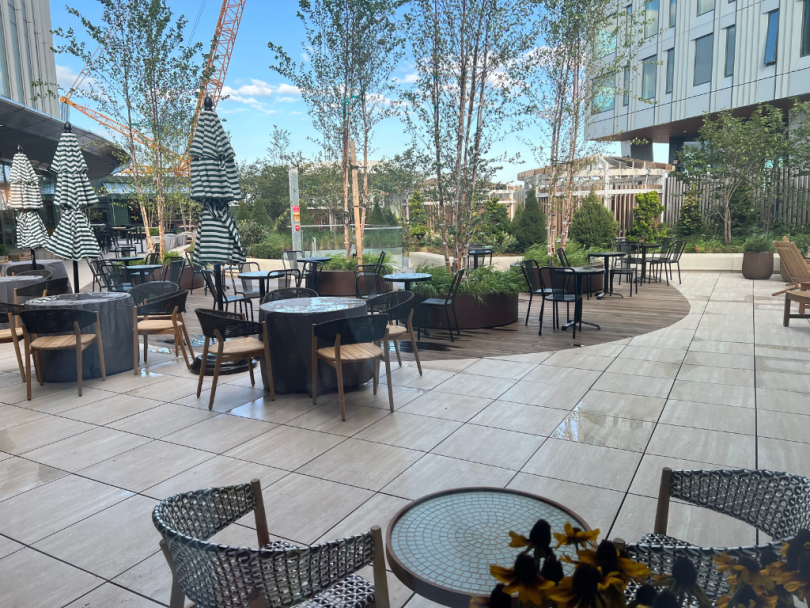 A rooftop terrace. 