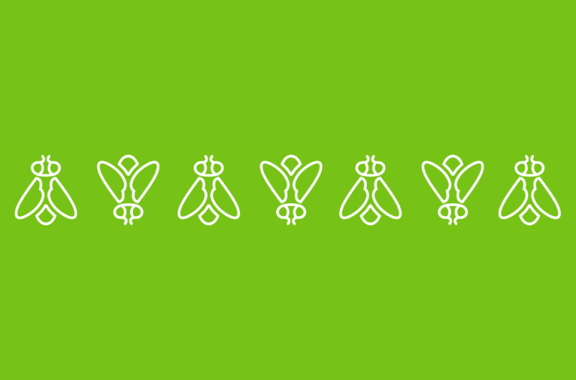 Greenfly’s software is used to support branding efforts at over 30 sports leagues.
