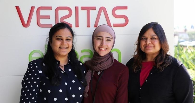 Veritas Technologies Mountain View IT Companies