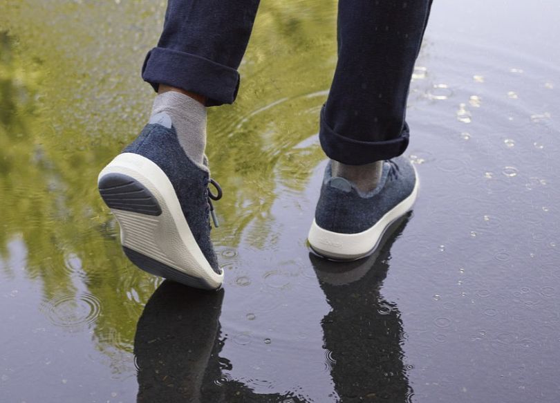 Allbirds shoes