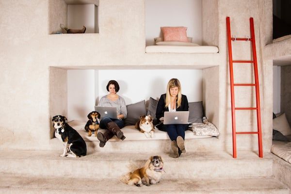 Barkbox office