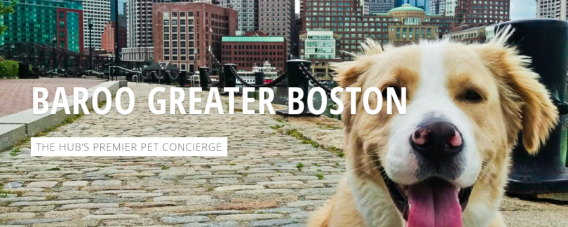 Baroo Boston