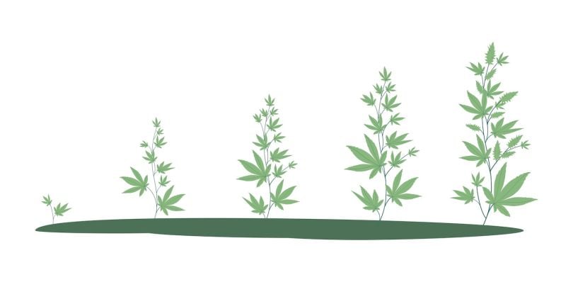 cannatech 420