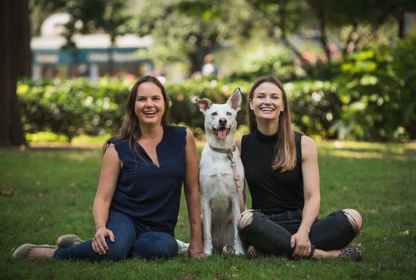 NYC-based Wagmo raised $12.5M Series A