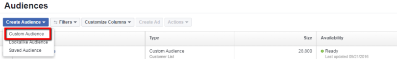 custom-audience-tool