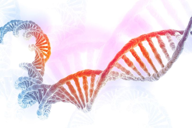 dna