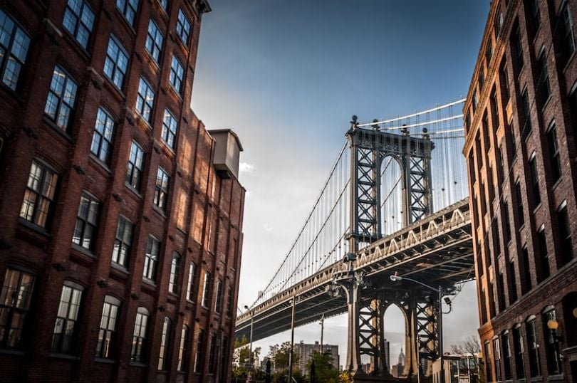 dumbo