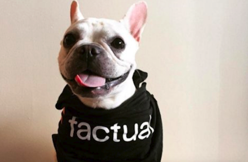 factual internships los angeles
