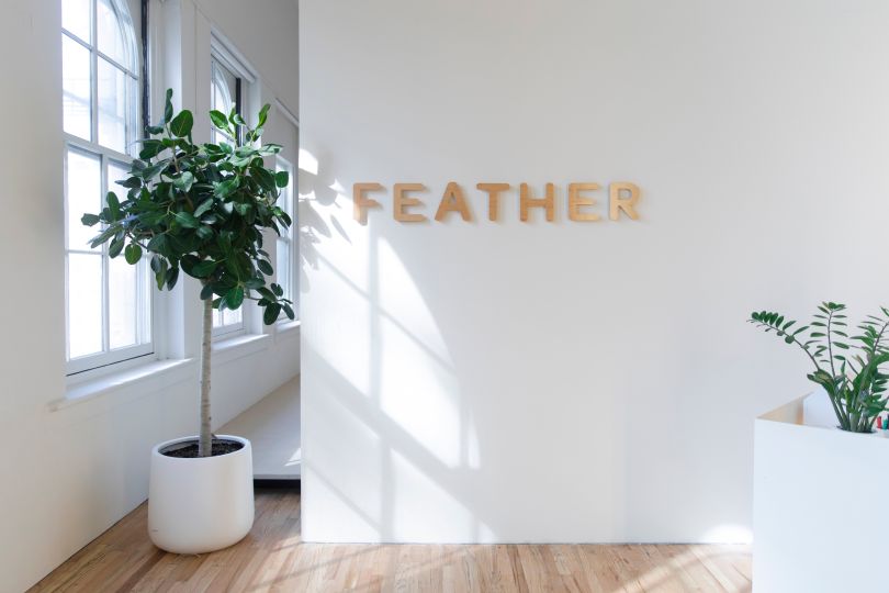 Feather