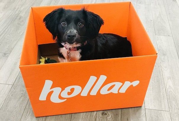 hollar ecommerce startup los angeles