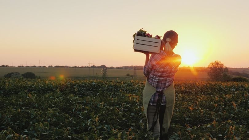 A female farmer with a box of fresh vegetables walks along her field