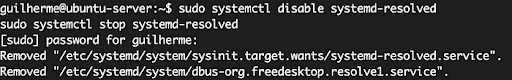 Disabeling this native Ubuntu DNS service