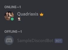 Discord bot in the server. 