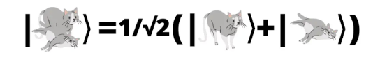 Superposition image illustrating the above-mentioned formula but substituting images of illustrated alive and dead cats.