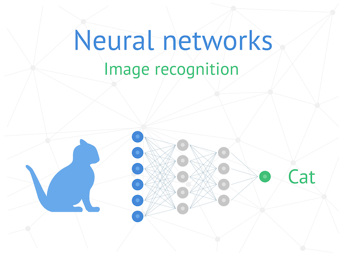 few-shot learning of a neural network recognizing an image of a cat and naming it cat