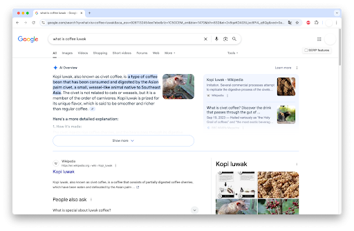 Google AI overview pulling results screenshot