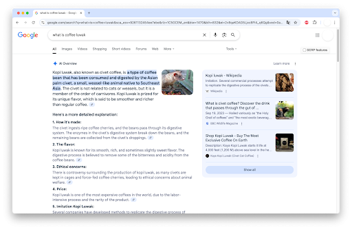 Continued AI overview result for search
