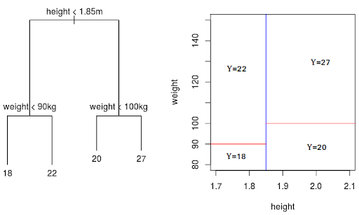 classification-tree