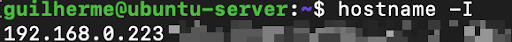 hostname -I function execution