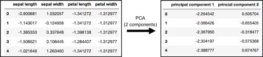 PCA and keeping the top two principal components