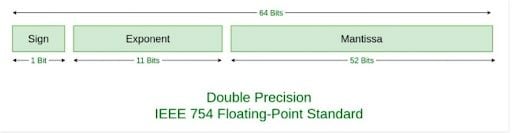 IEEE754 Double Precision Standard.
