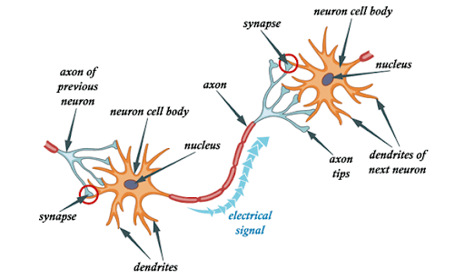 what-is-deep-learning