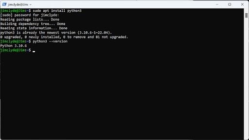 Running the command sudo apt install python3 in Powershell