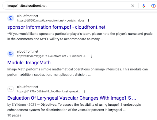 a Google search engine results page