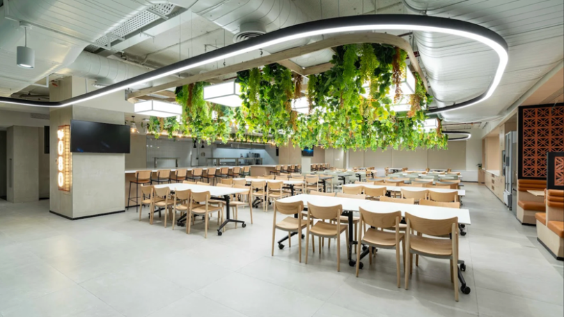 A photo of the ServiceNow office in India with plants hanging from the ceiling. 